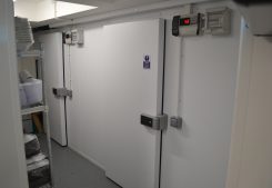 Bartlett Case Studies - Education